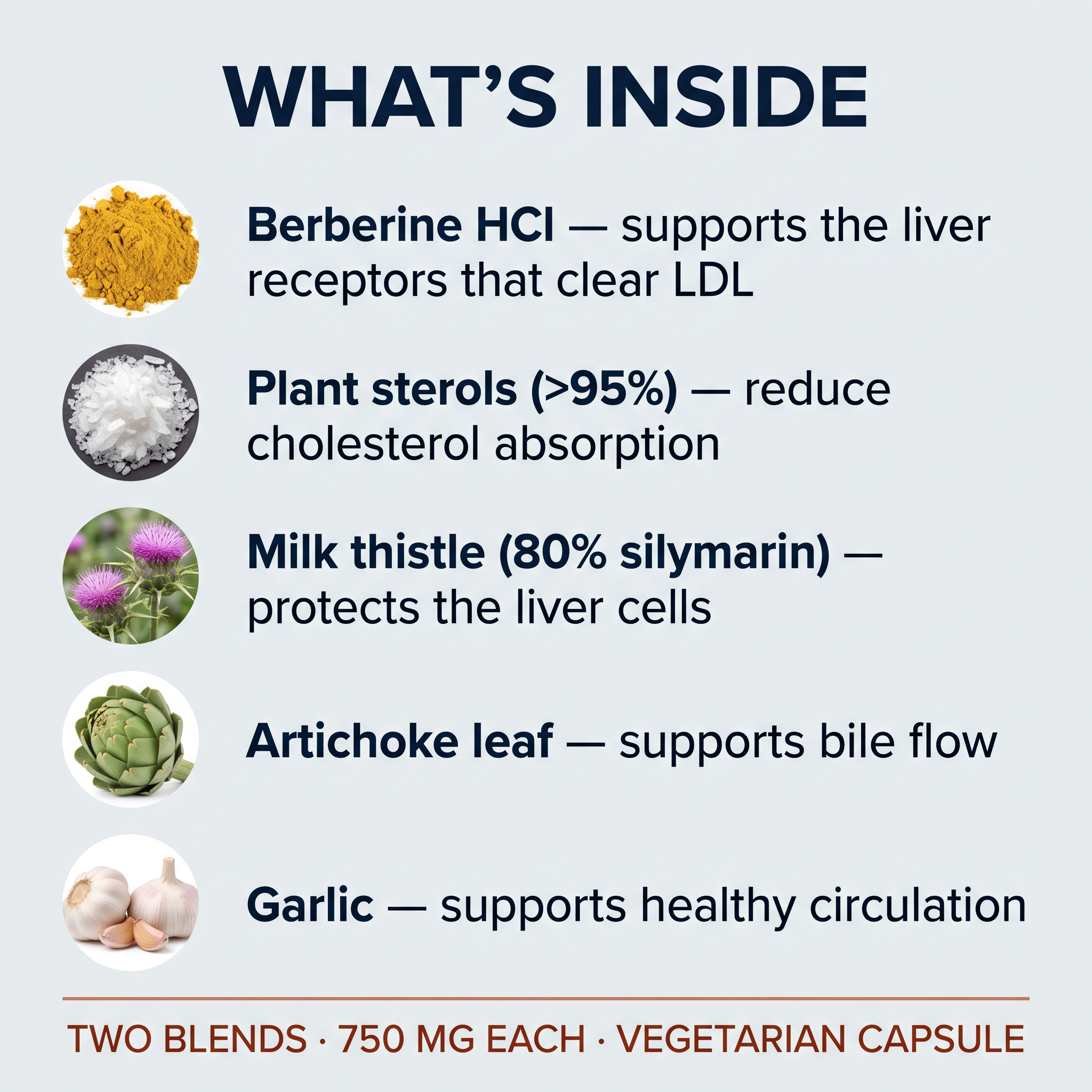 What's inside: berberine, plant sterols, milk thistle, artichoke leaf, garlic